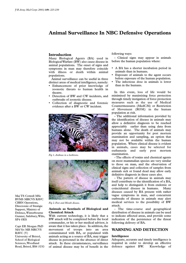PDF extract preview